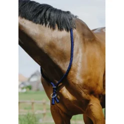 Norton Neckrope Royal Blue
