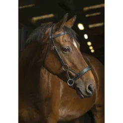Norton Side-Pull Pro Confort Zwart