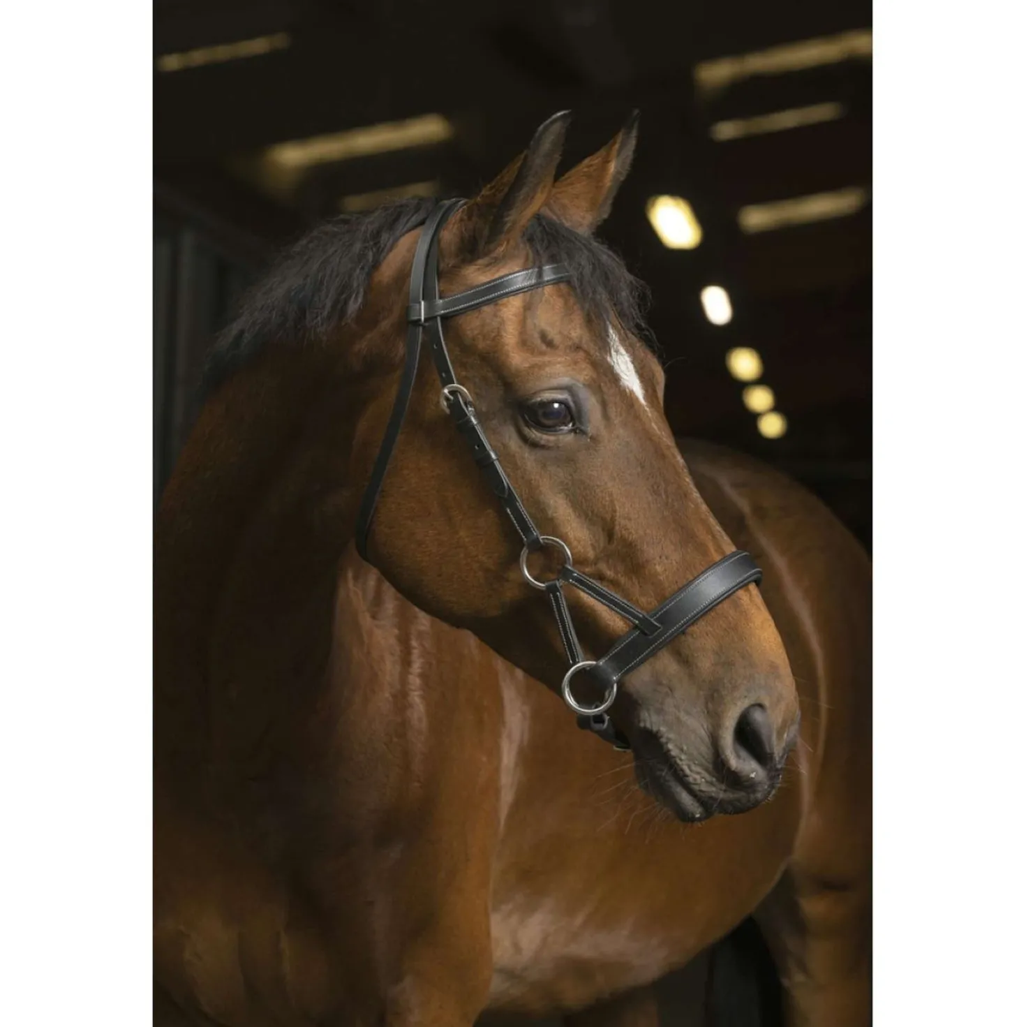 Norton Side-Pull Pro Confort Zwart