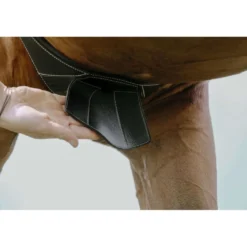 Norton Singel Magnet Anatomisch Zwart