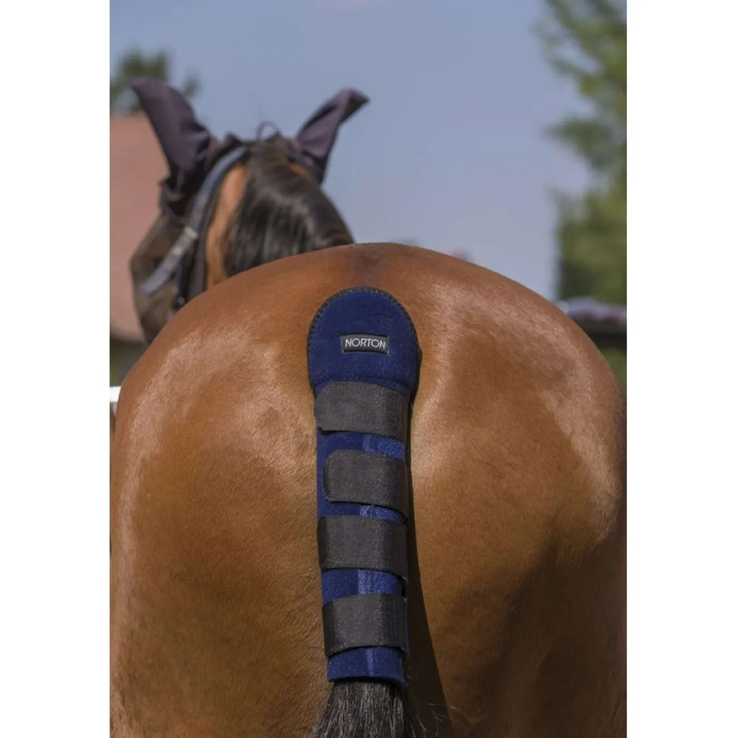 Norton Staartbeschermer High Protection Navy