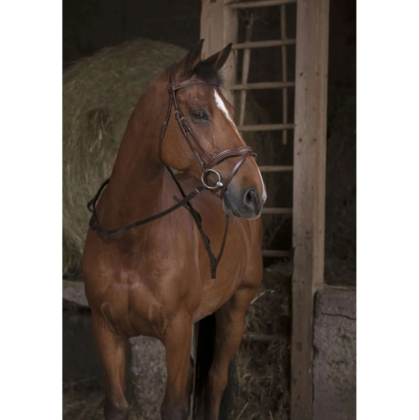 Norton Teugels Pro Hunting met Handvaten Havana