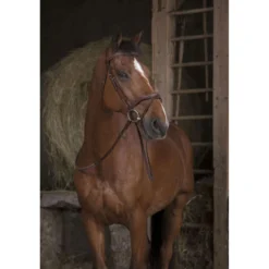 Norton Teugels Pro Rubber 16mm Havanna/Wit