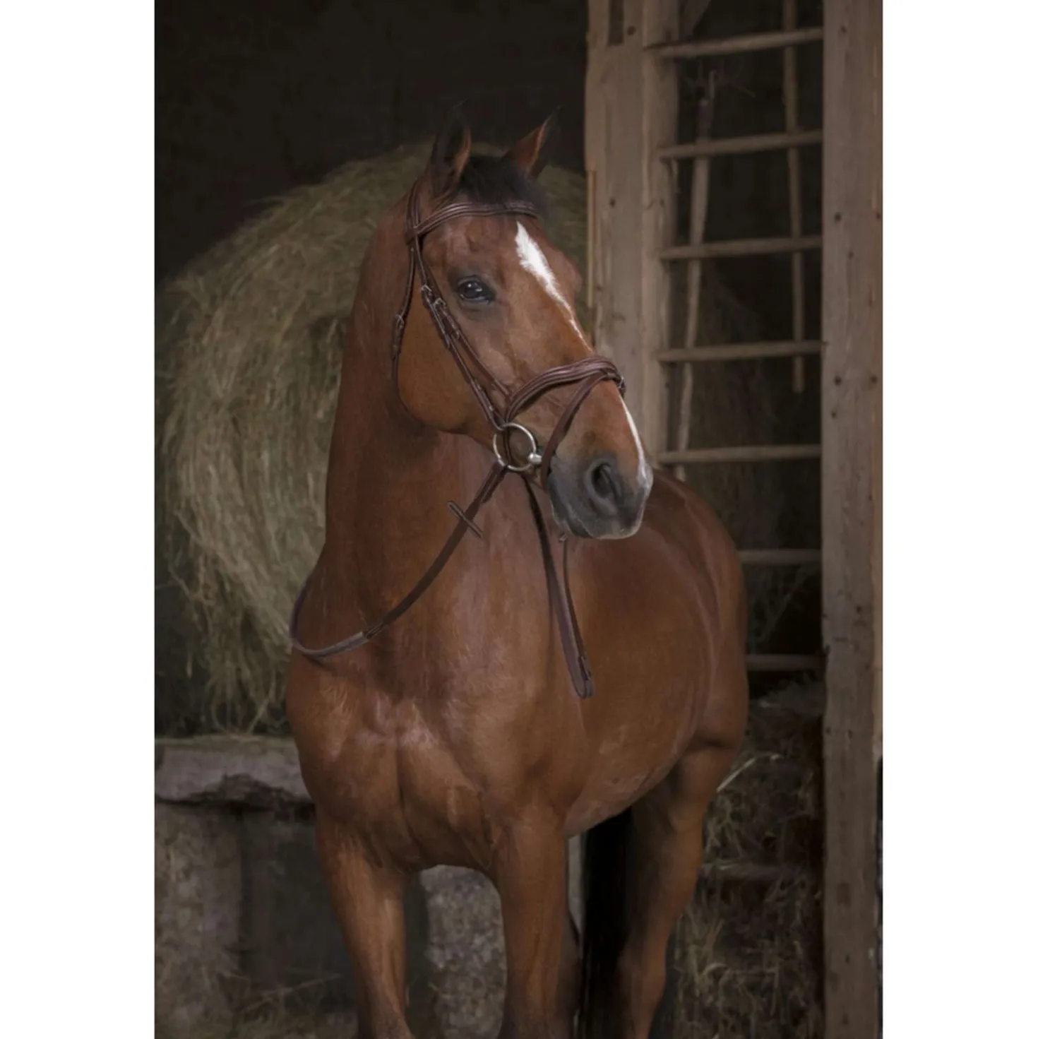Norton Teugels Pro Rubber 13mm Zwart/Wit