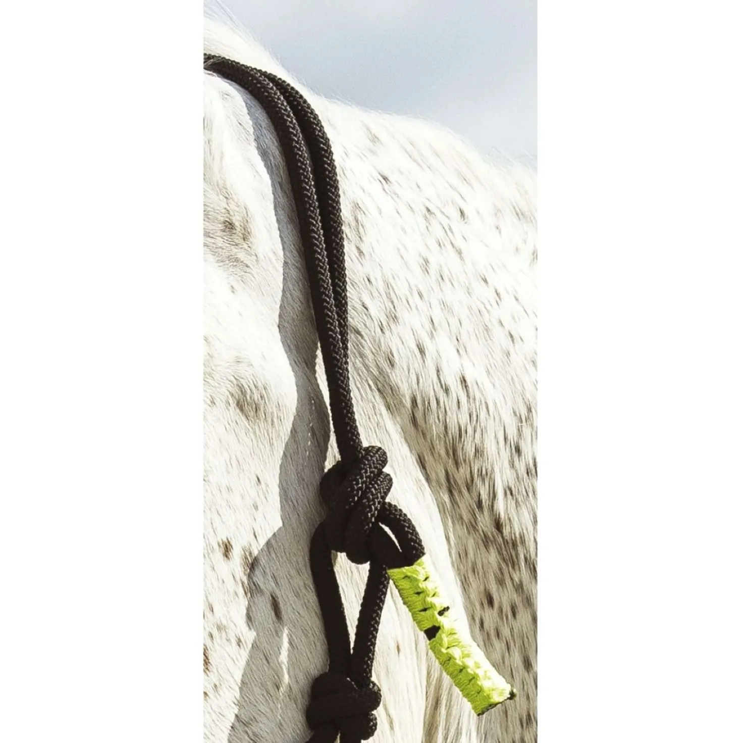 Norton Touwhalsterset Fun Colour Ethologisch Zwart/Neon Groen