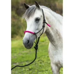 Norton Touwhalsterset Fun Colour Ethologisch Zwart/Fuchsia