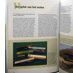 Paardenfokkerij