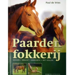 Paardenfokkerij