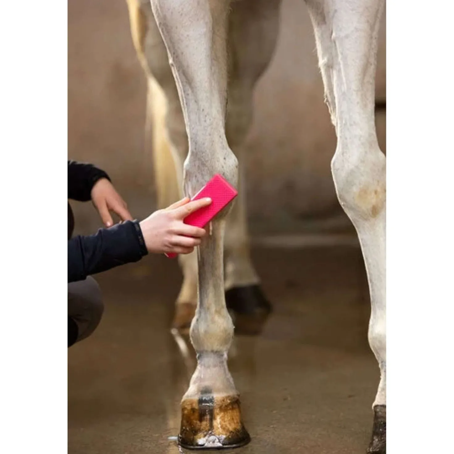 Paardenpraat Grooming Brush Roze