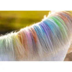 Paardenpraat Haarkrijt Regenboog