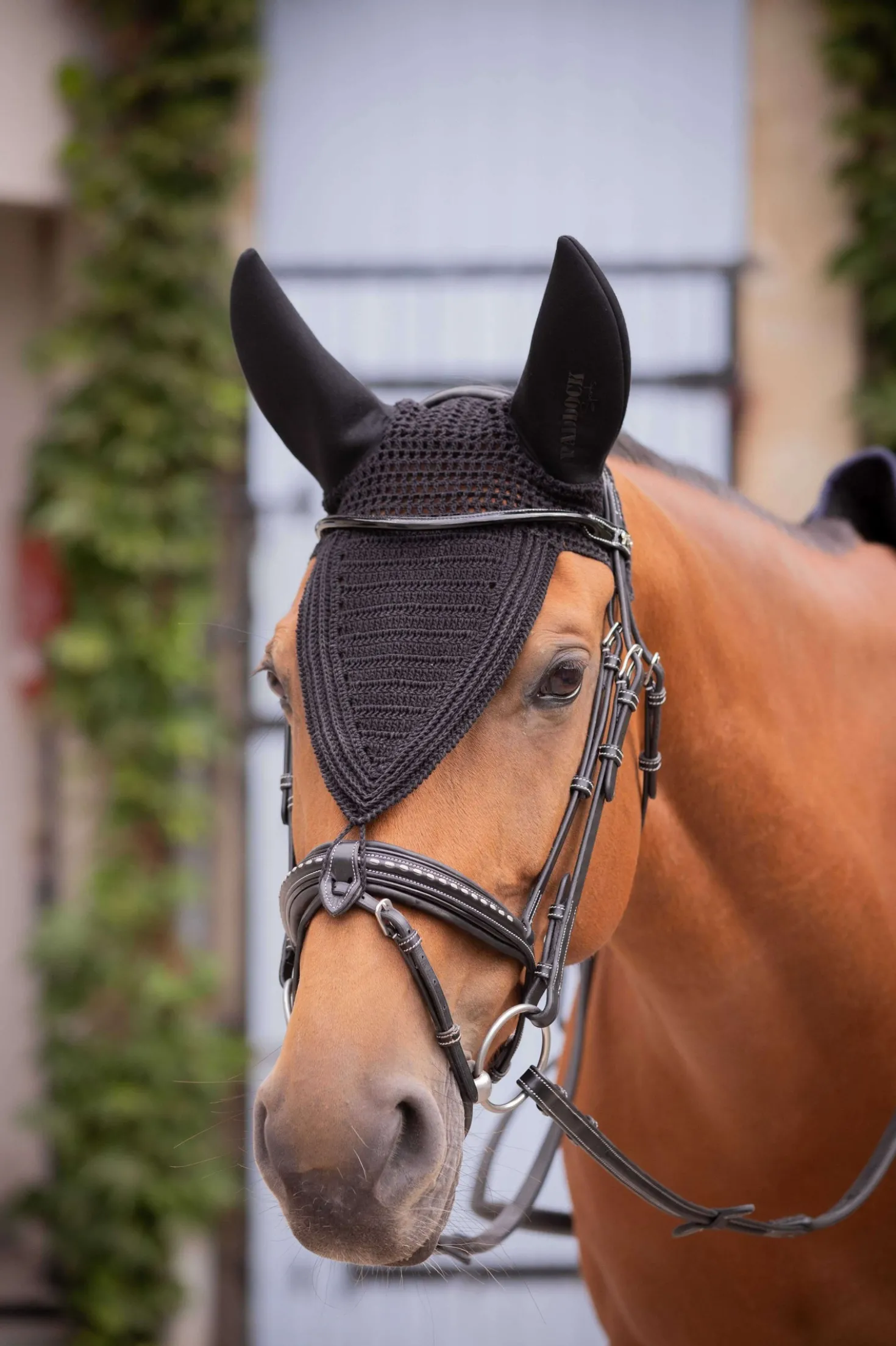 Paddock Oornetje Long Soundless Zwart