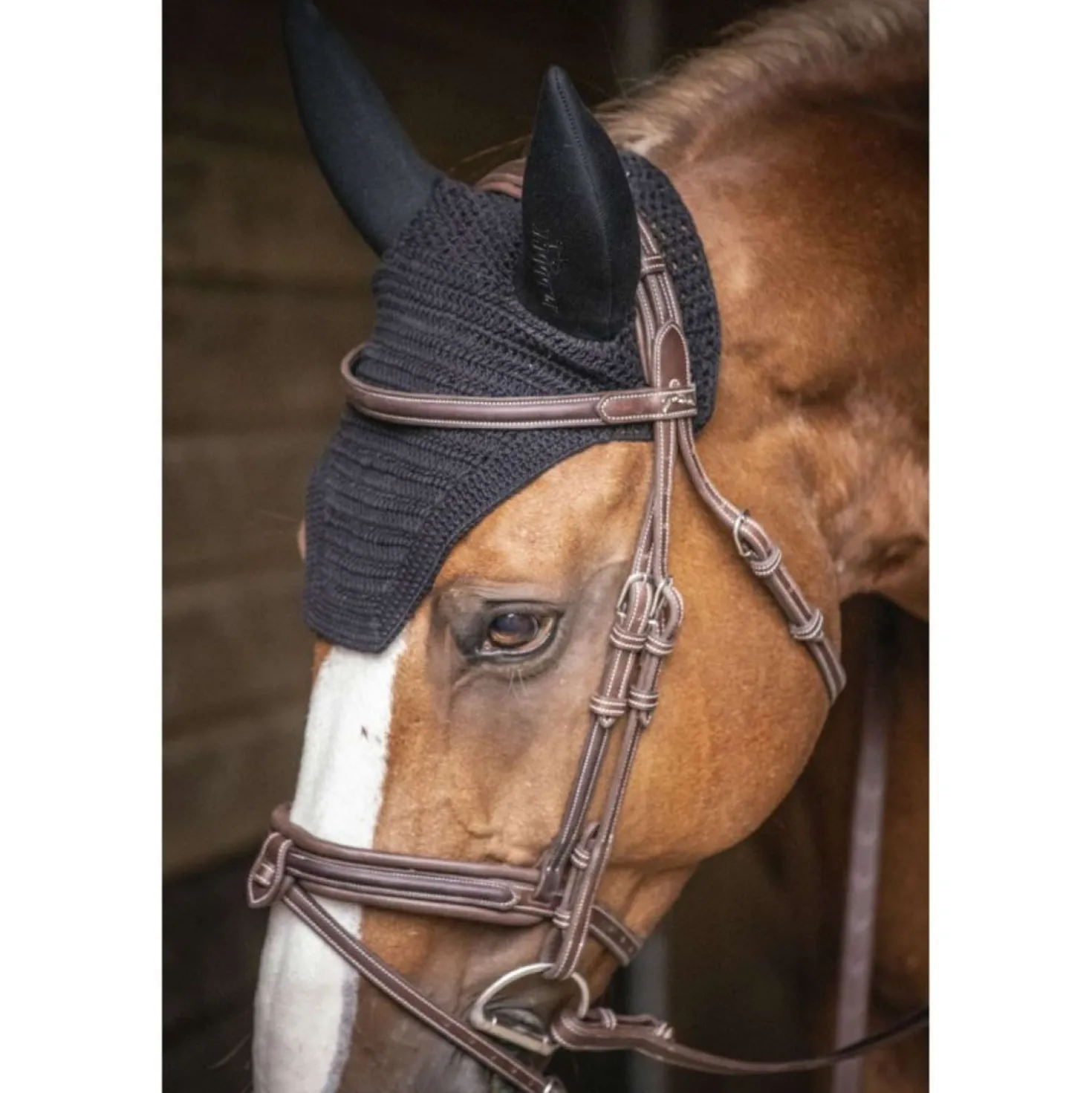 Paddock Oornetje Soundless Zwart