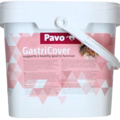 Pavo GastriCover