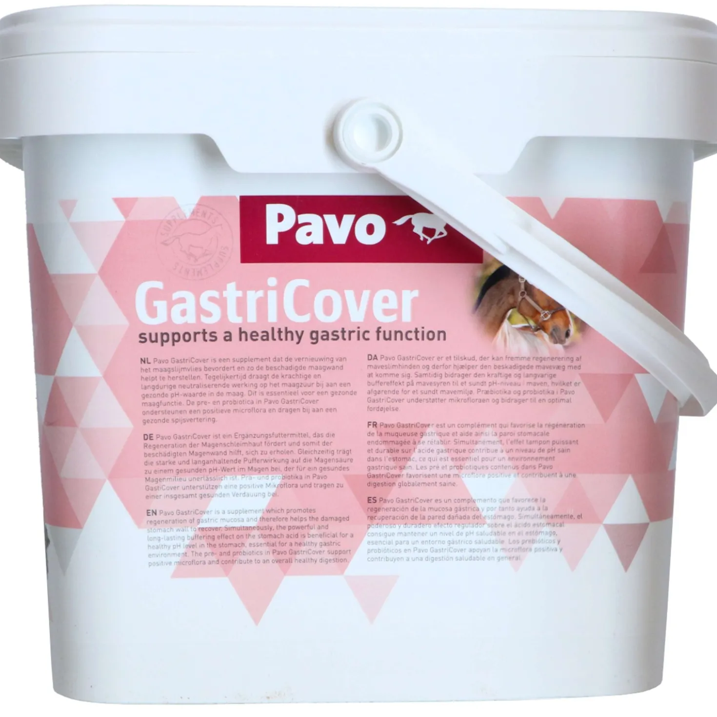 Pavo GastriCover