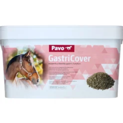 Pavo GastriCover