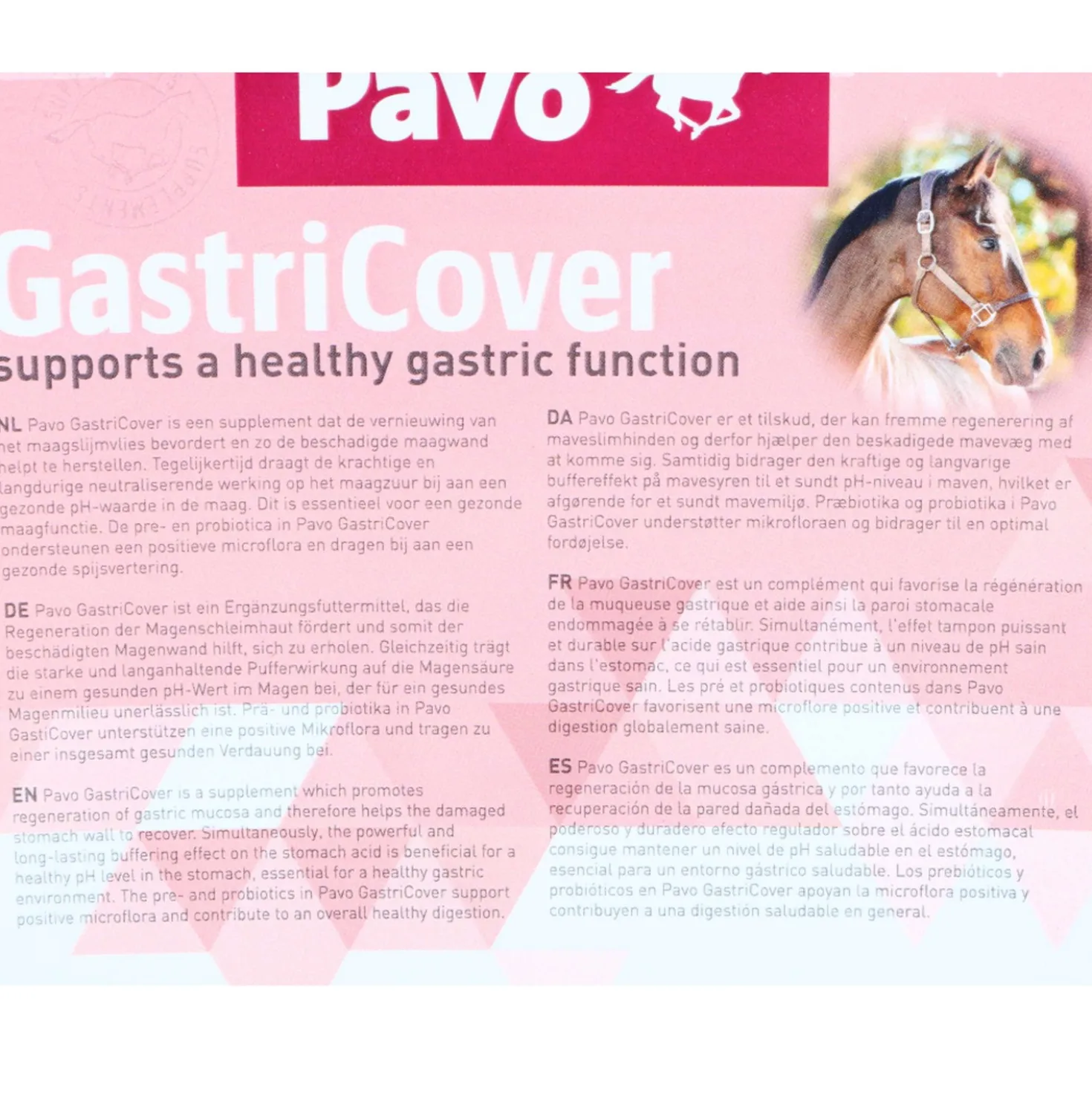 Pavo GastriCover