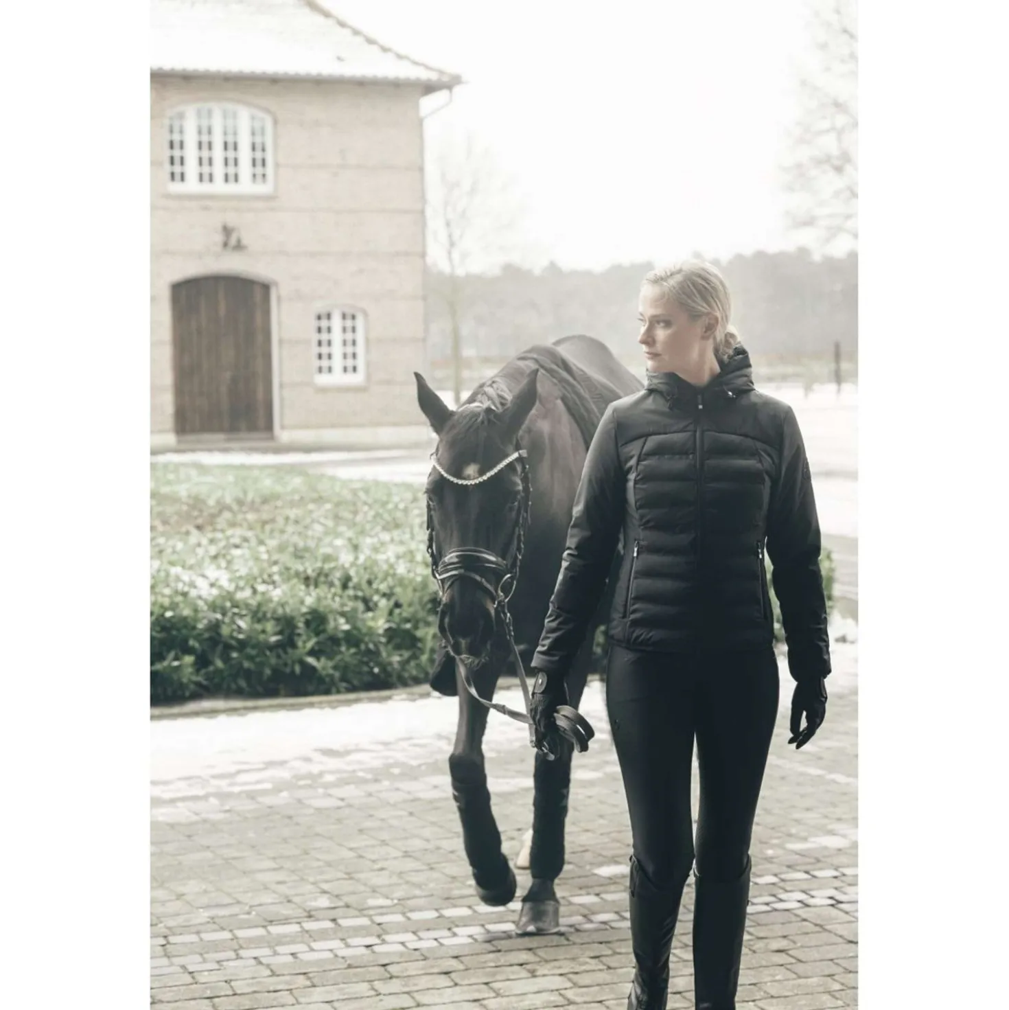 Pikeur Jack Quilted Athleisure AW26 Zwart