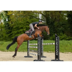 Pikeur Rijbroek Rodrigo Knie Grip Heren Beige