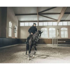 Pikeur Winterjas Quilted Athleisure AW26 Heren Zwart