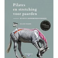 Pilates en stretching voor paarden