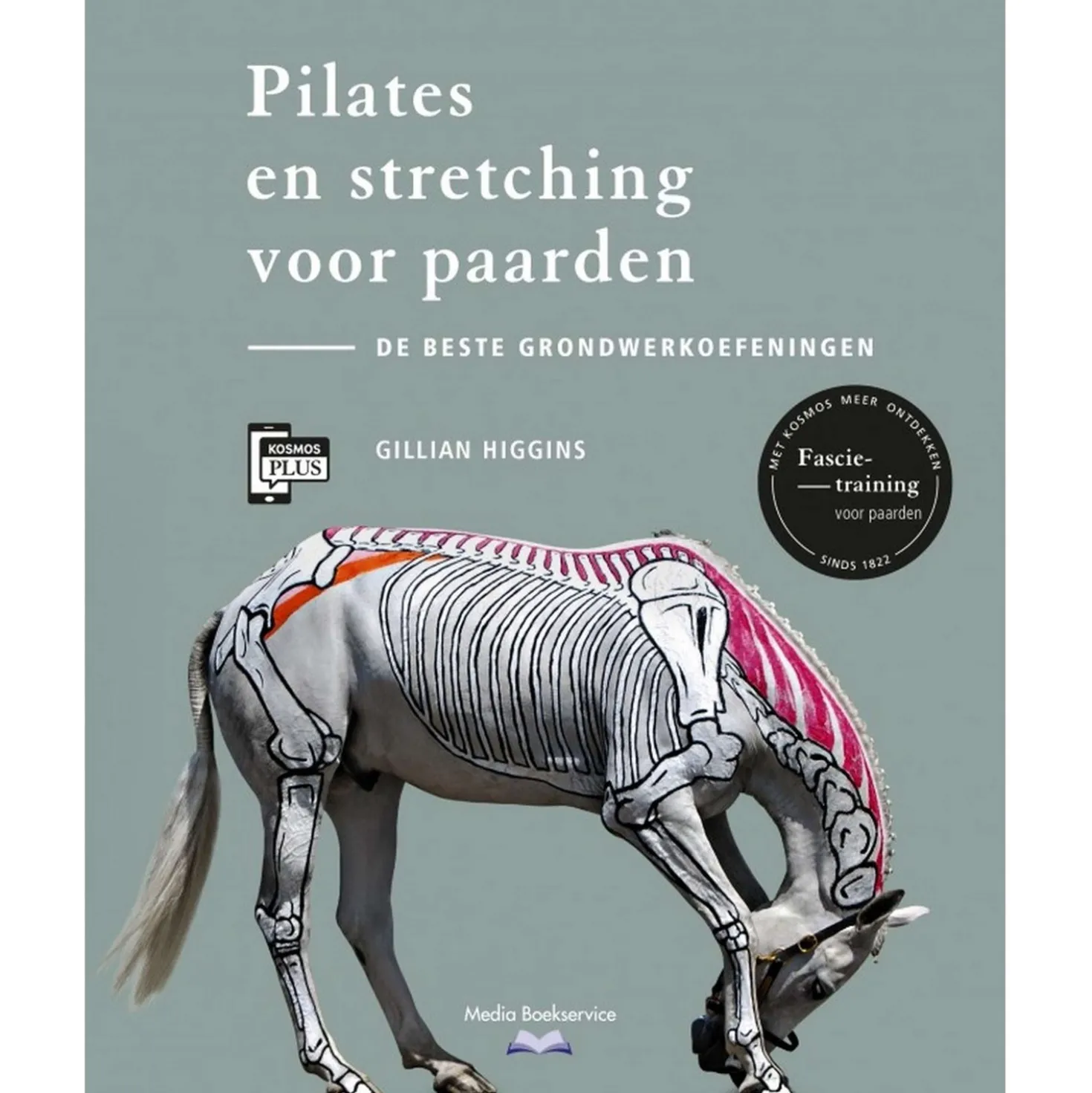 Pilates en stretching voor paarden