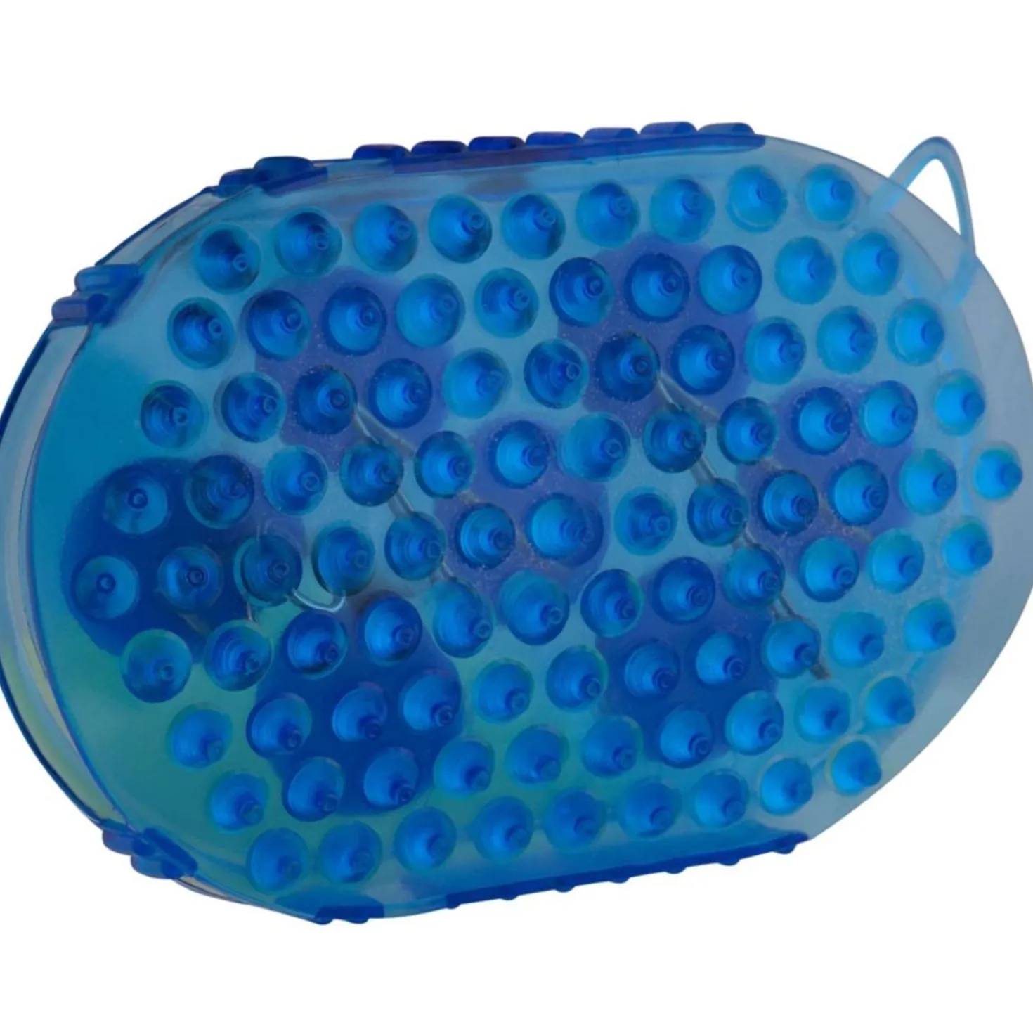 Premiere Massageborstel RVS Rollers Blauw