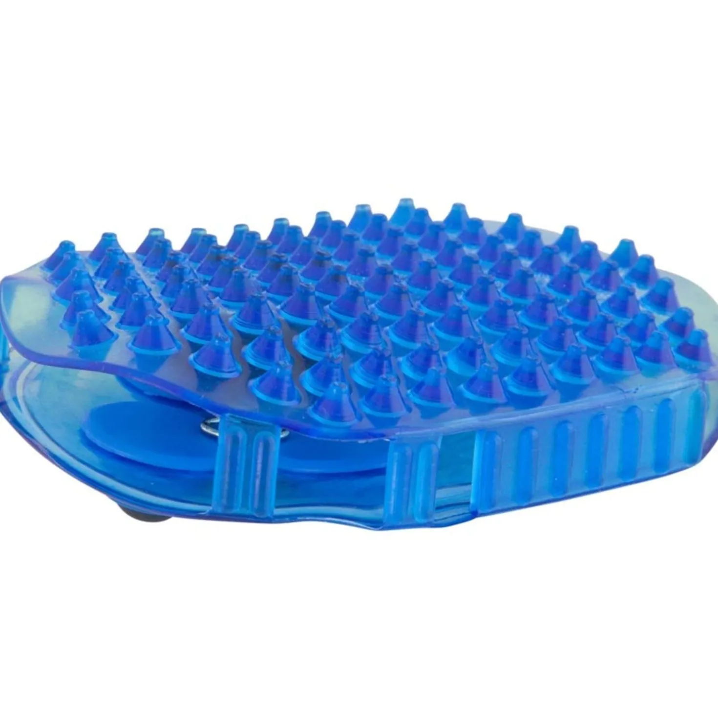 Premiere Massageborstel RVS Rollers Blauw