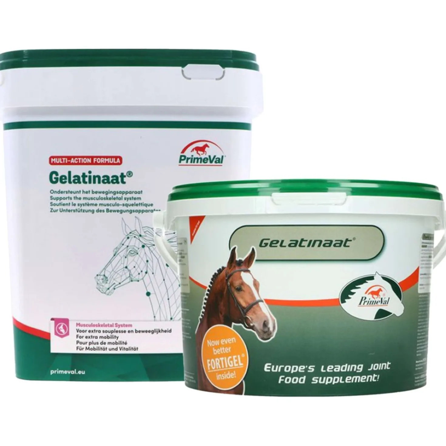 PrimeVal Gelatinaat Paard