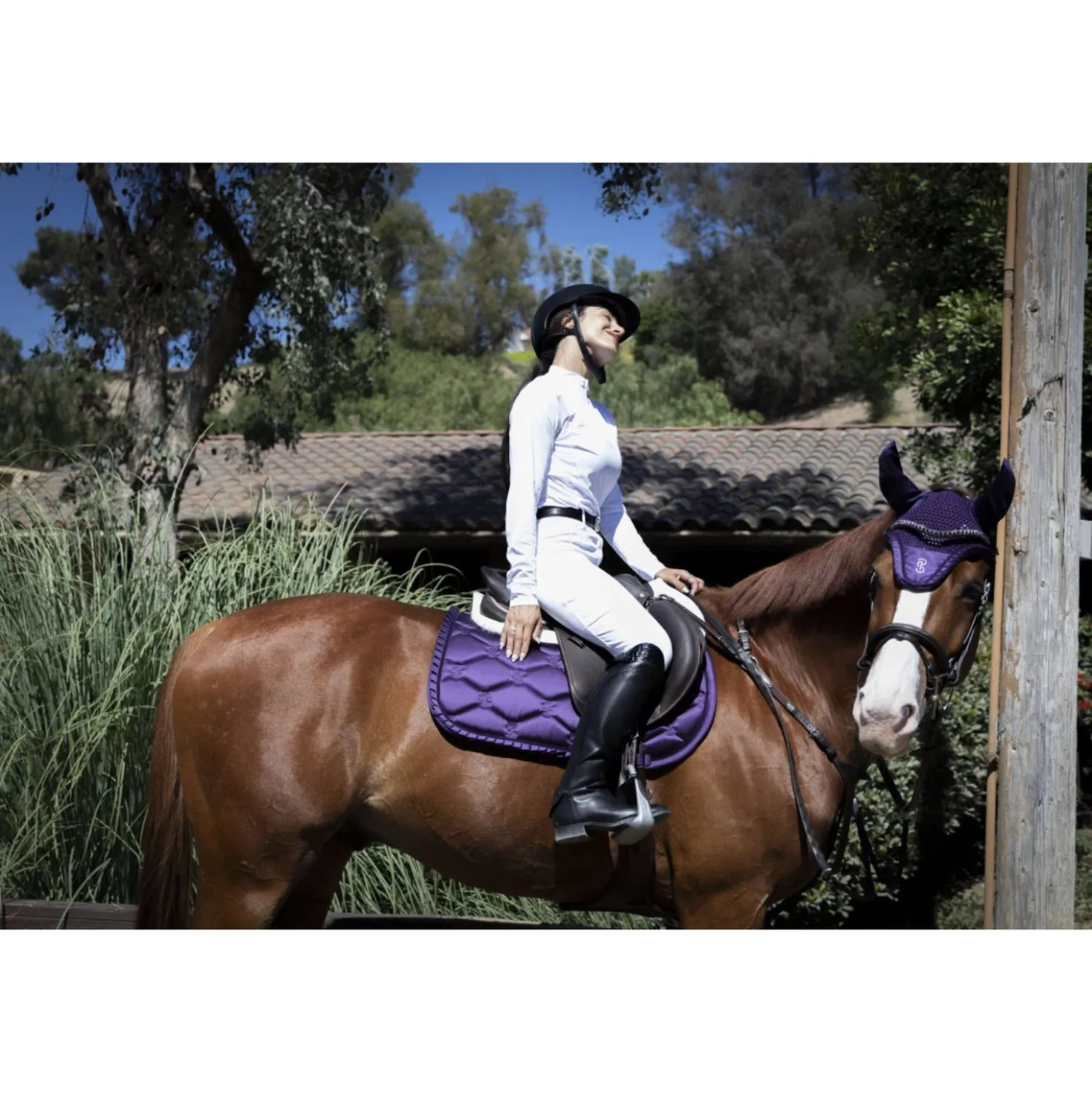 PS of Sweden Zadeldekje Ruffle Springen Eclipse Purple