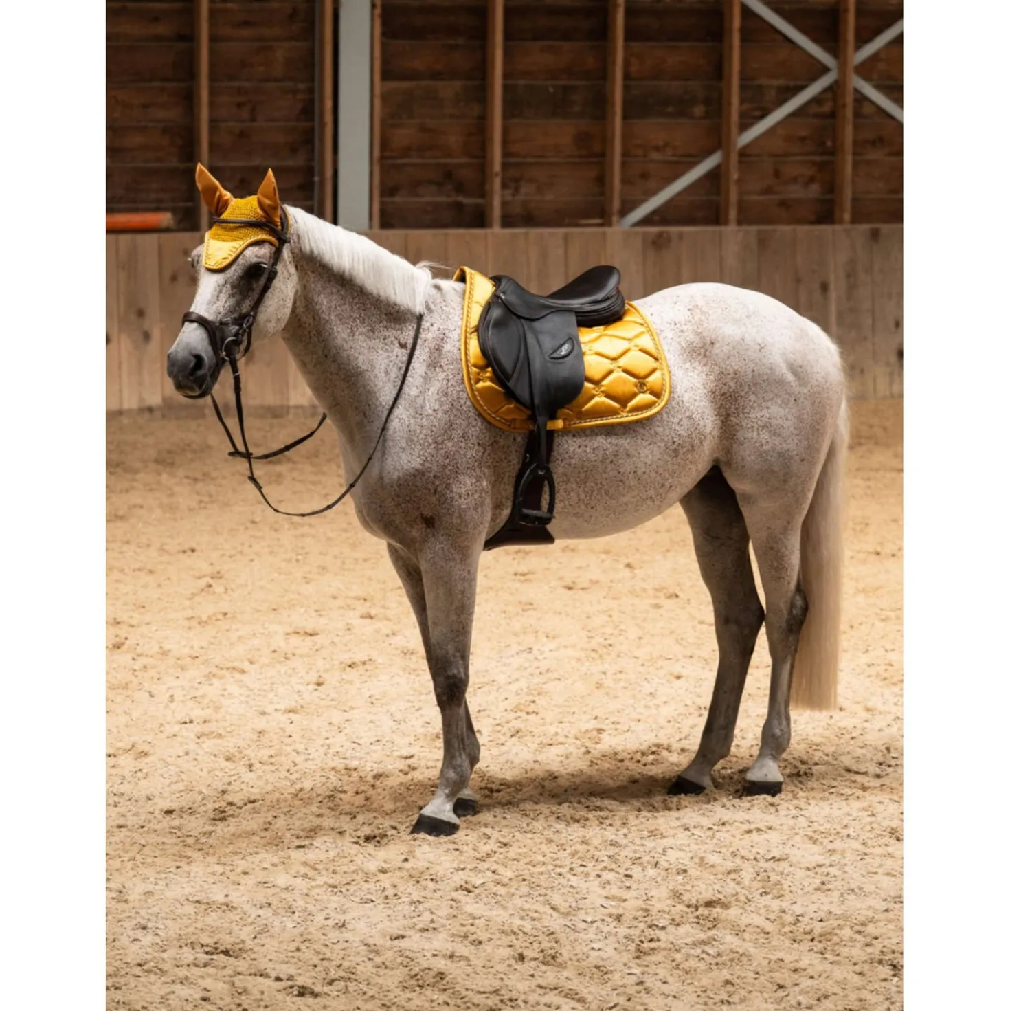 PS of Sweden Zadeldekje Signature Springen Old Gold