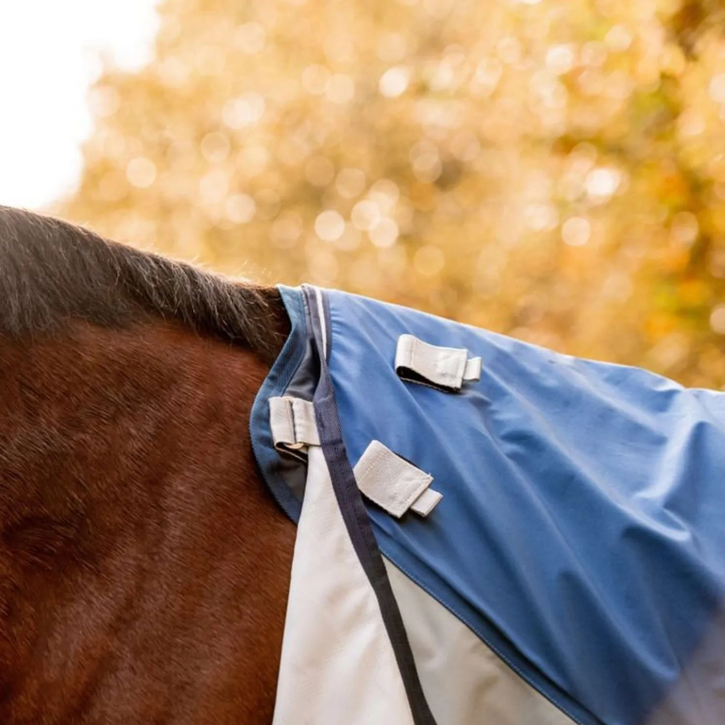 Rambo Autumn Series Turnout Navy/Grijs Dots