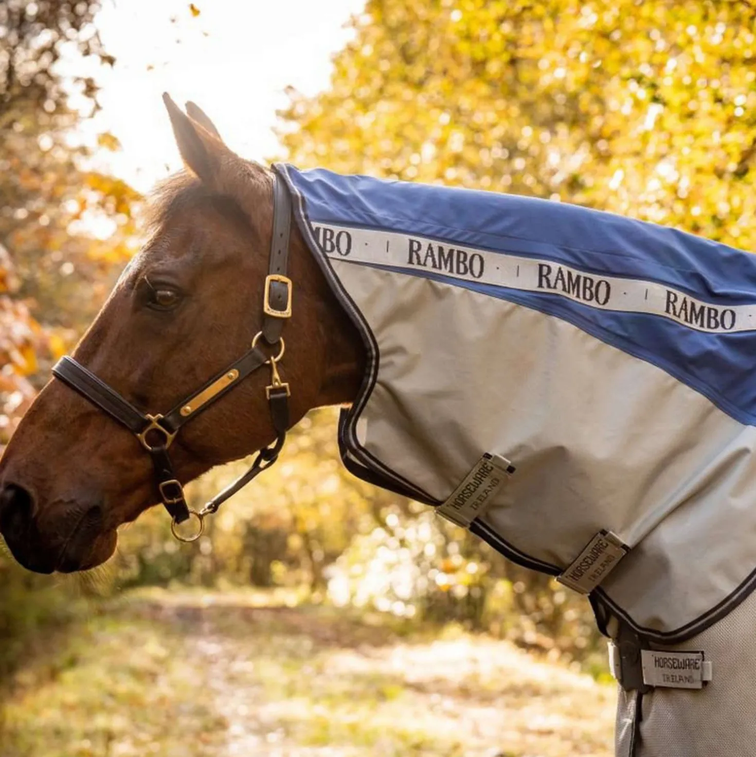 Rambo Autumn Series Turnout Navy/Grijs Dots