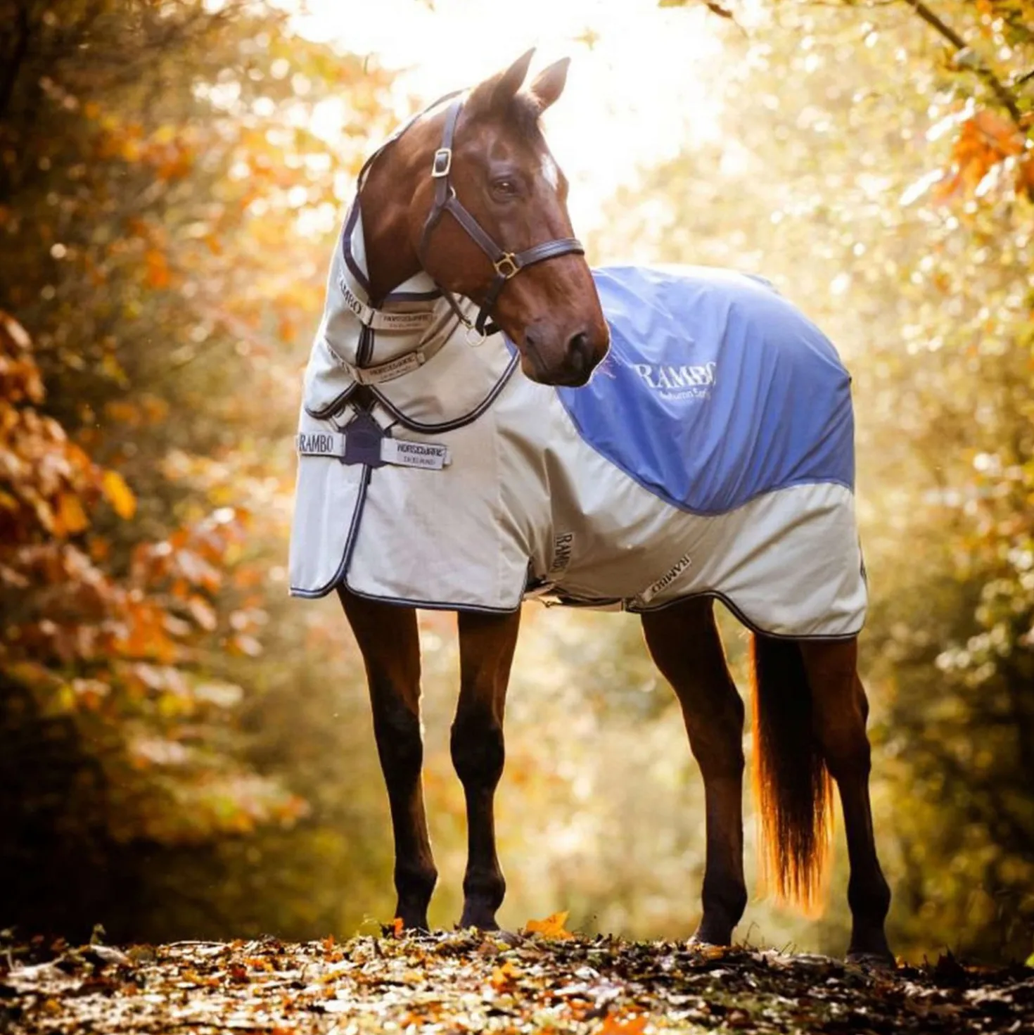 Rambo Autumn Series Turnout Navy/Grijs Dots