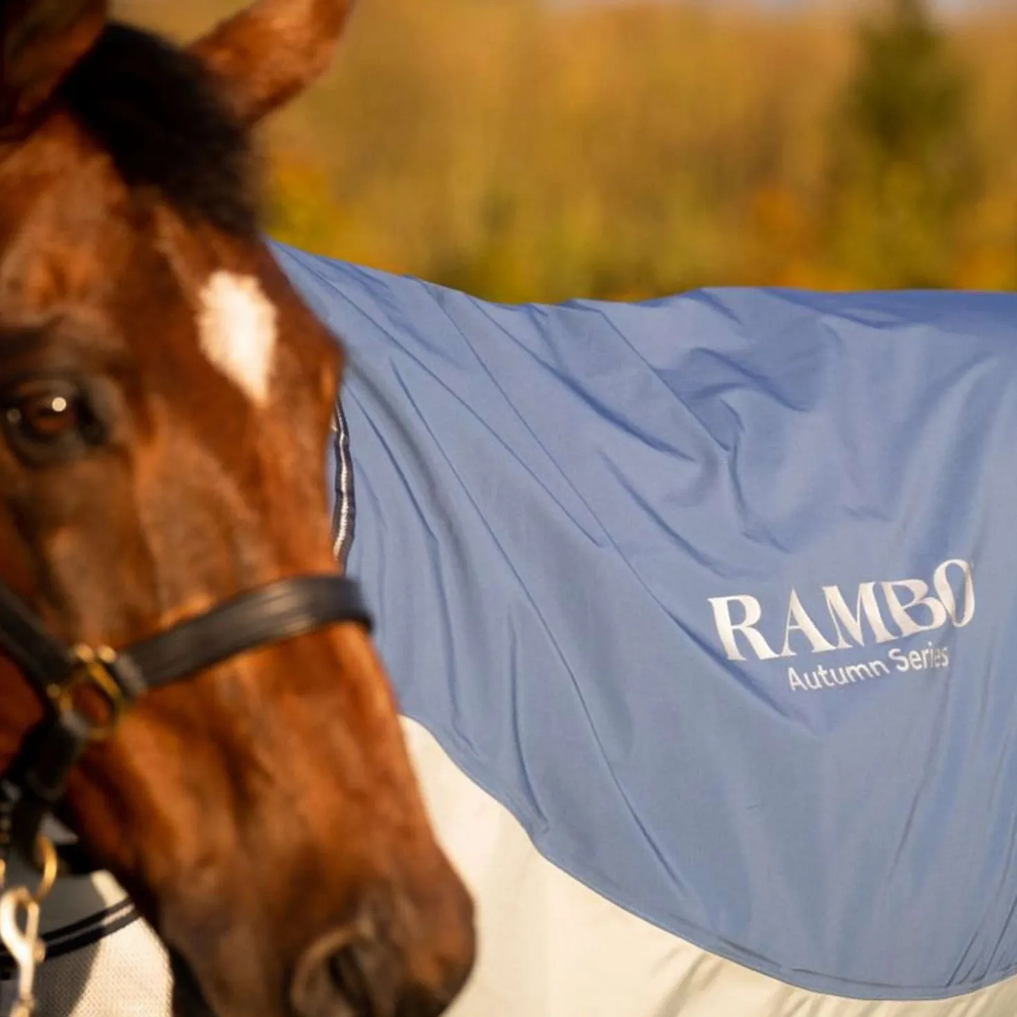 Rambo Autumn Series Turnout Navy/Grijs Dots