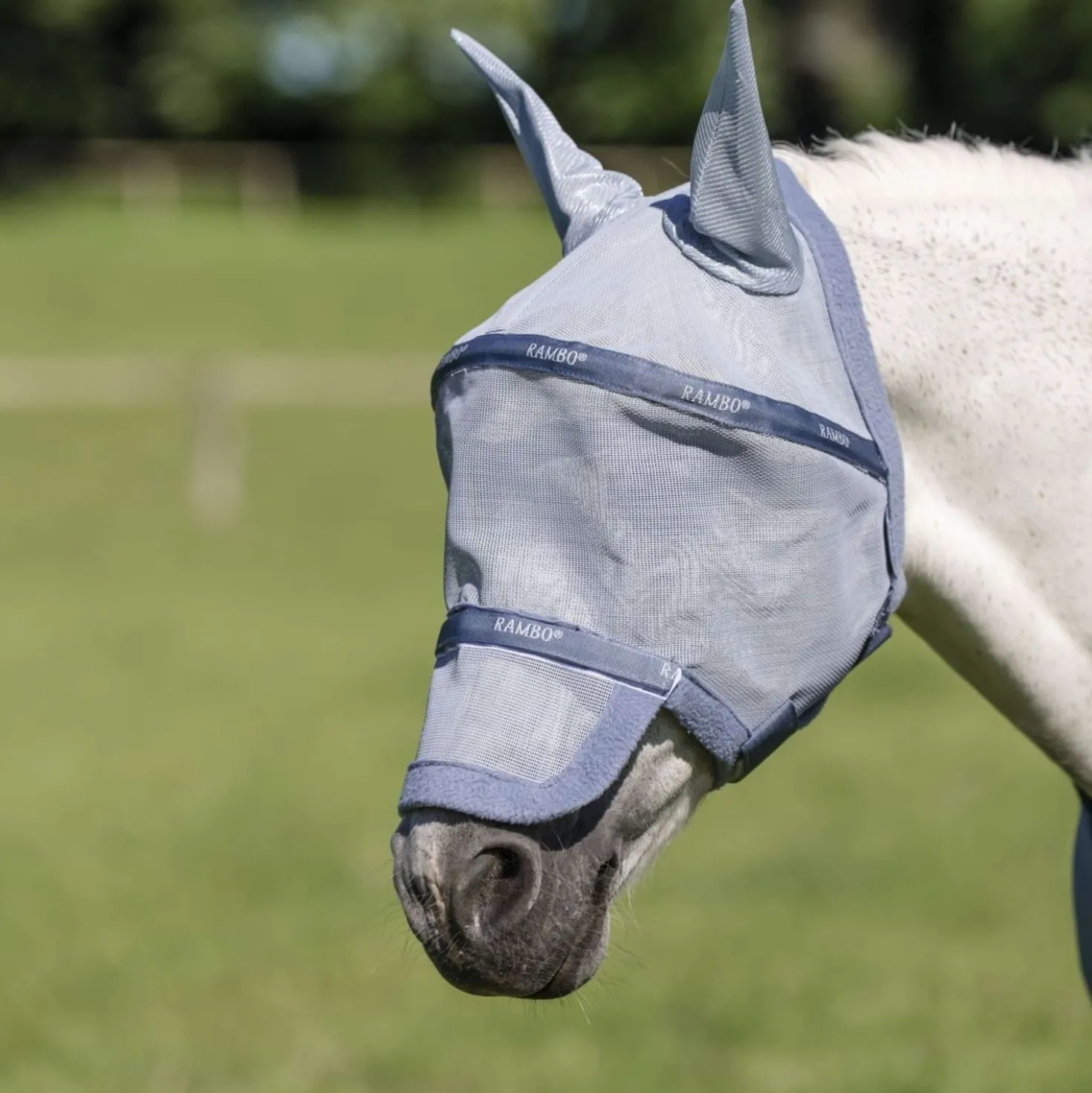 Rambo Fly Mask Heather Blue/Blue/Silver