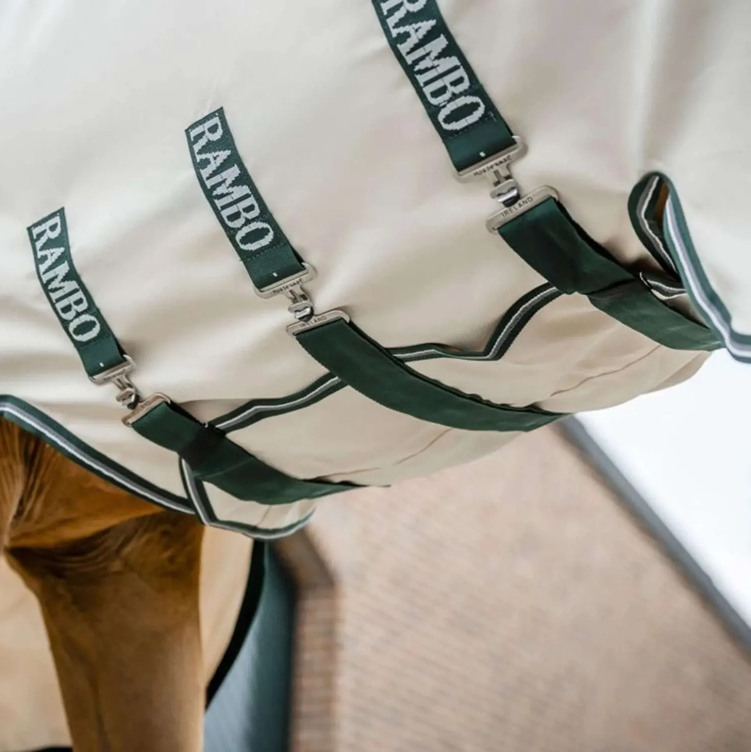 Rambo Hoody Chalk/Hunter Green/Silver