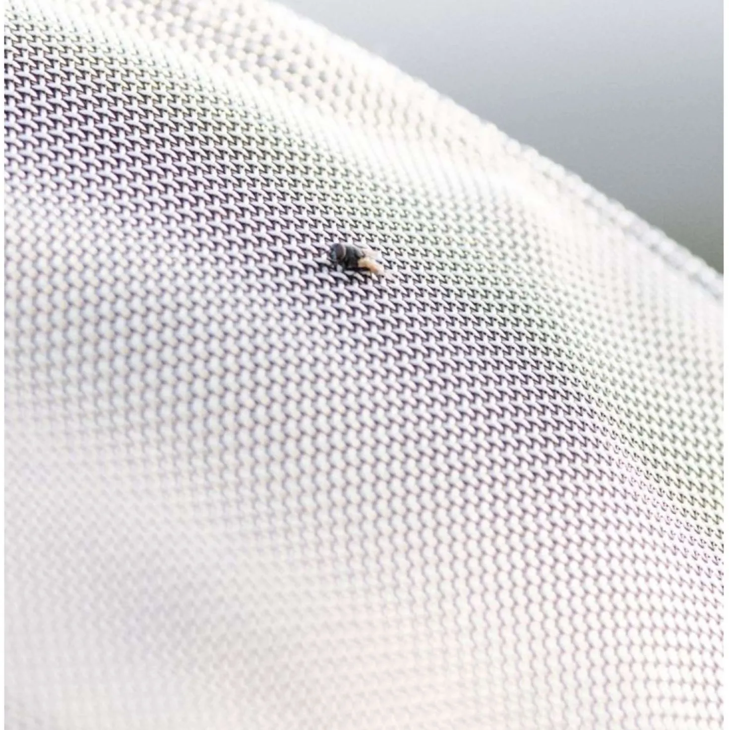 Rambo Protector Fieldsafe Silver/Navy/White/Beige