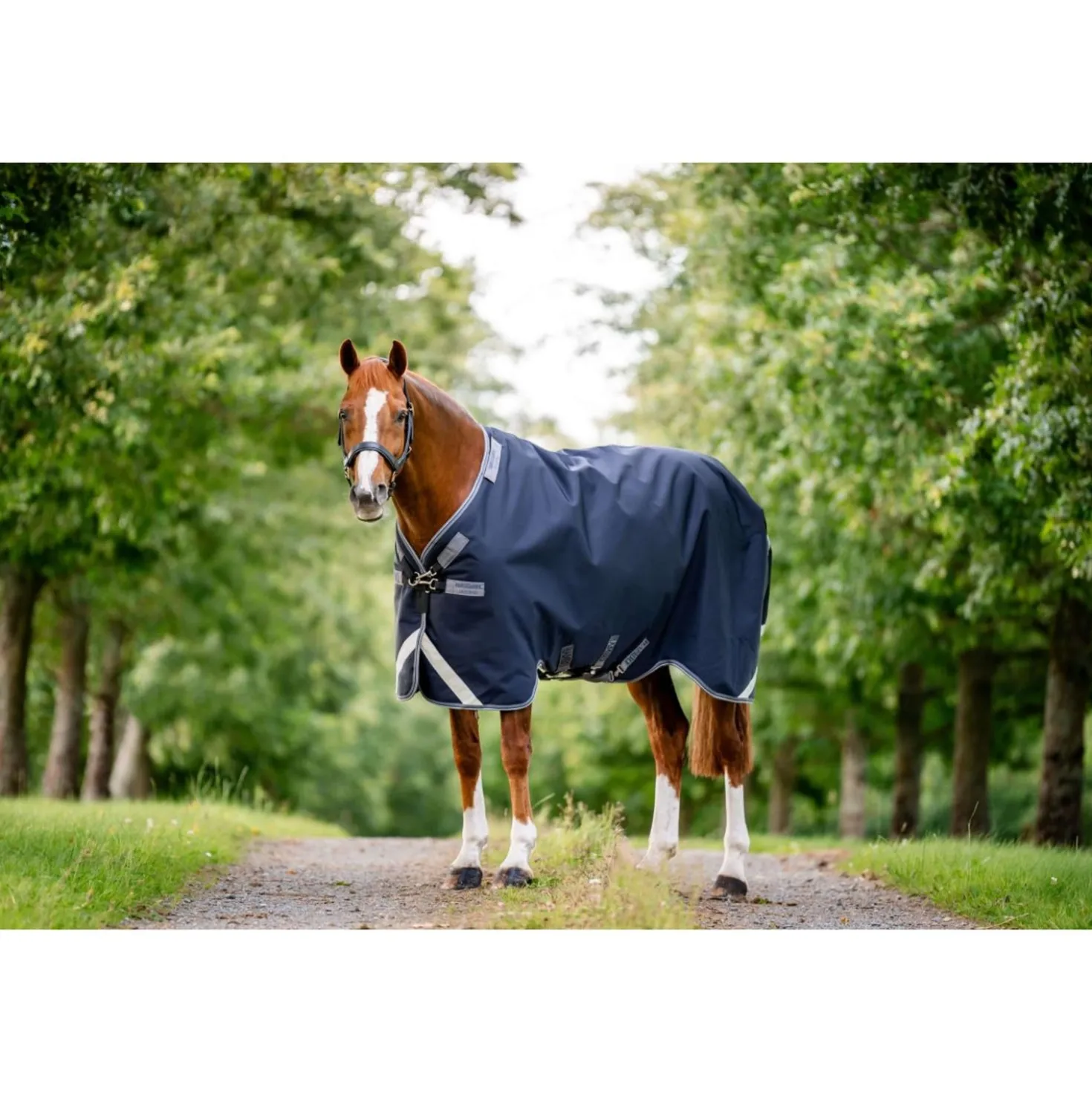 Rambo Turnout Rug 1680D Varilayer 250g Navy/Thunderstorm Grey/Silver