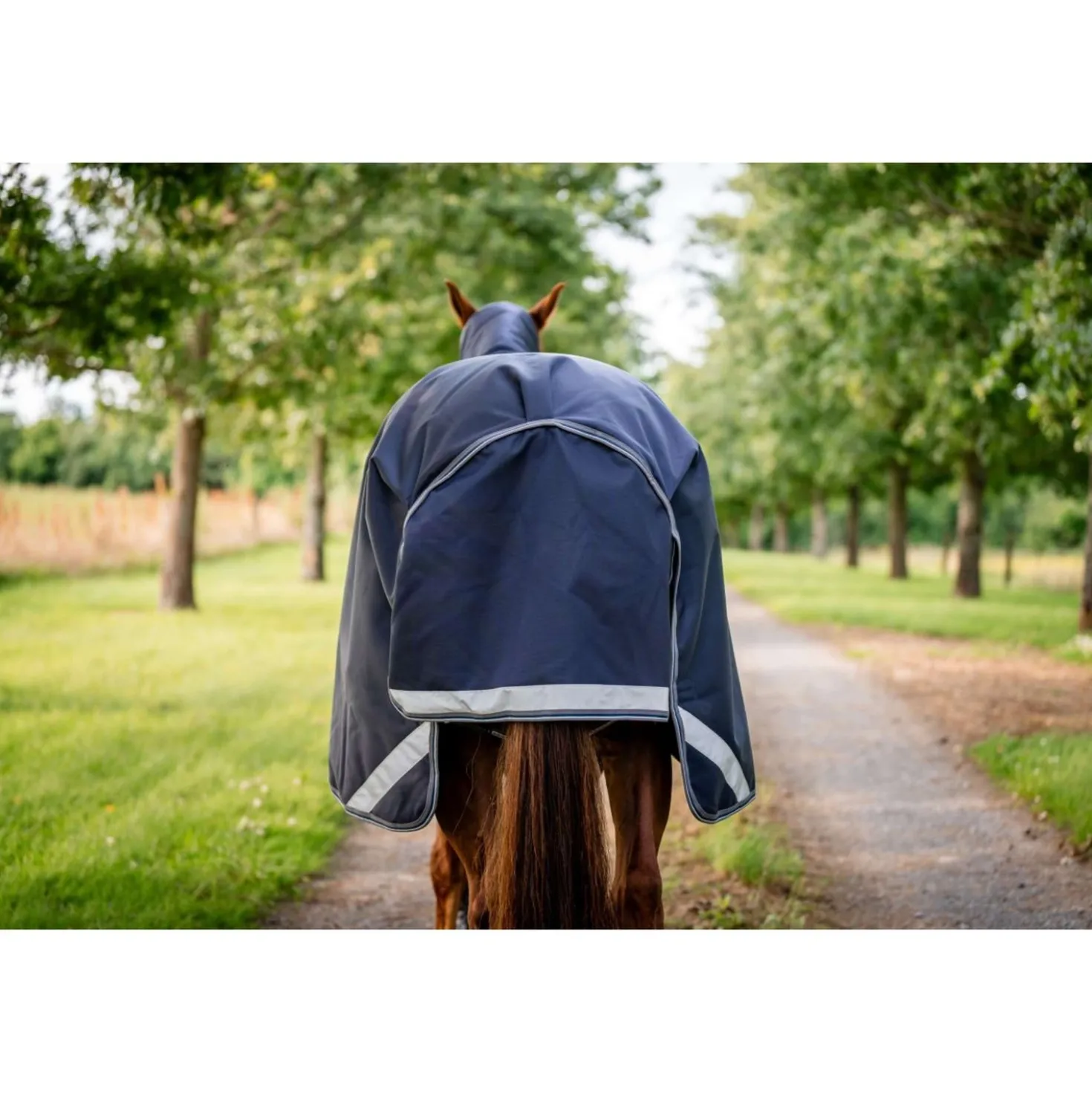 Rambo Turnout Rug 1680D Varilayer 250g Navy/Thunderstorm Grey/Silver