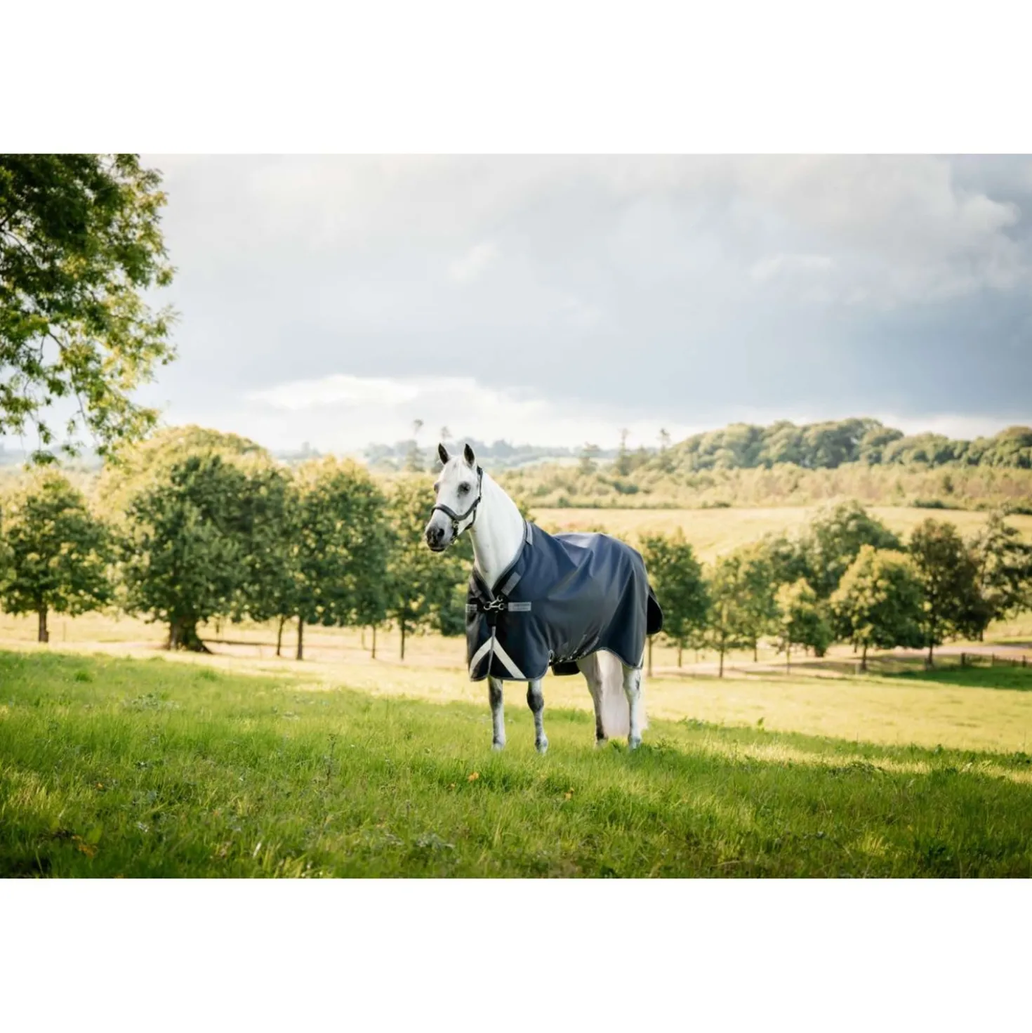 Rambo Turnout Rug 1680D Varilayer 250g Navy/Thunderstorm Grey/Silver