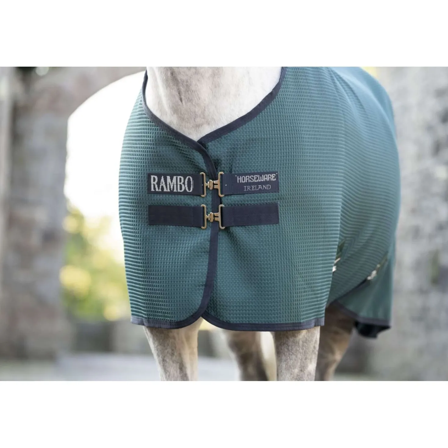 Rambo Waffle Cooler Techni Dynasty Green/Navy/Silver