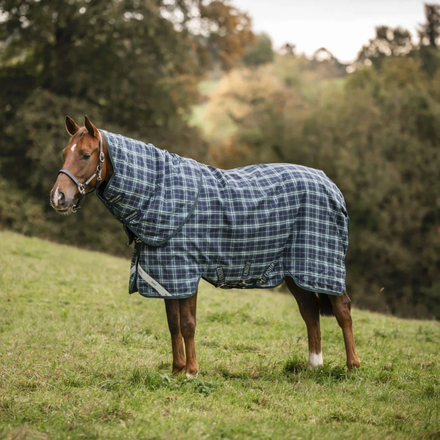 Rhino Halsstuk Turnout 0g Hunter Check/Green/Navy