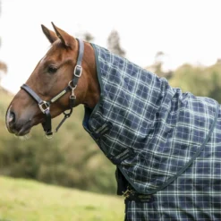 Rhino Halsstuk Turnout 0g Hunter Check/Green/Navy