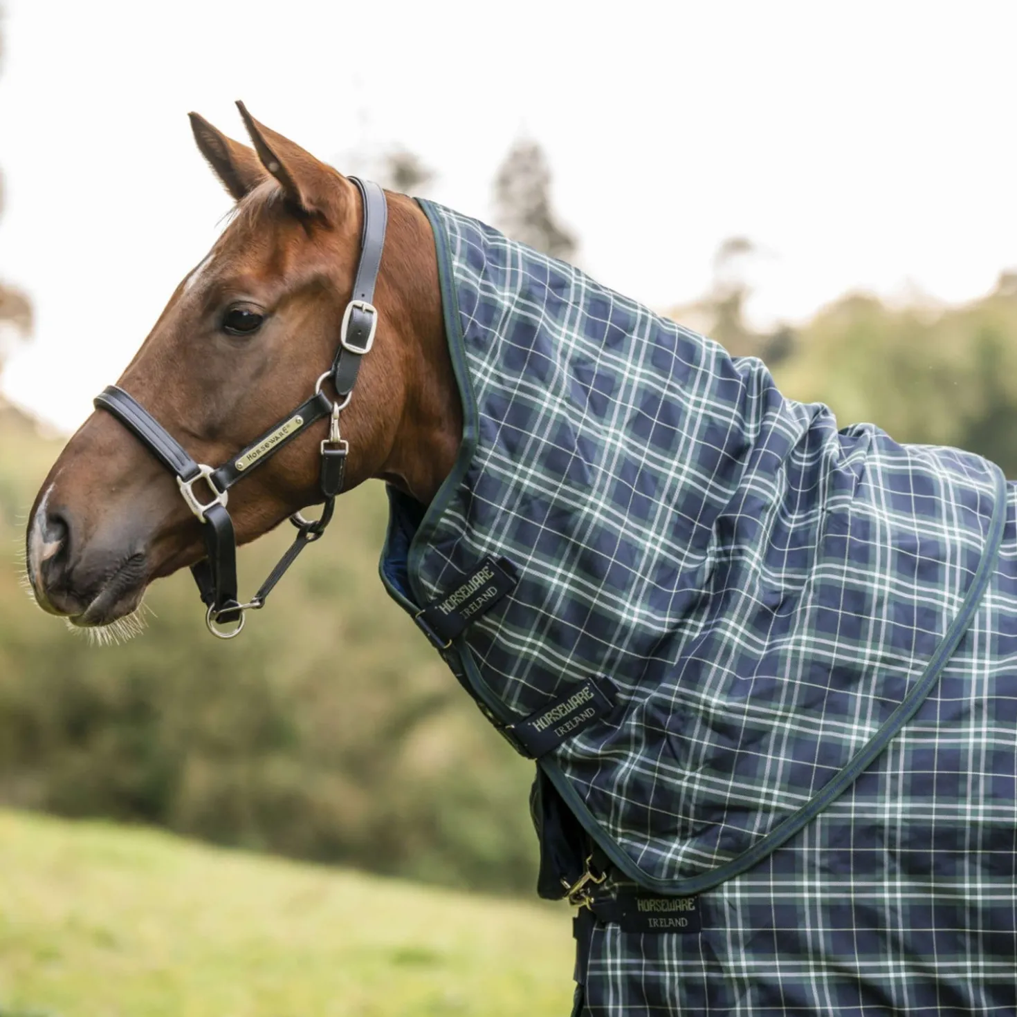 Rhino Halsstuk Turnout 0g Hunter Check/Green/Navy