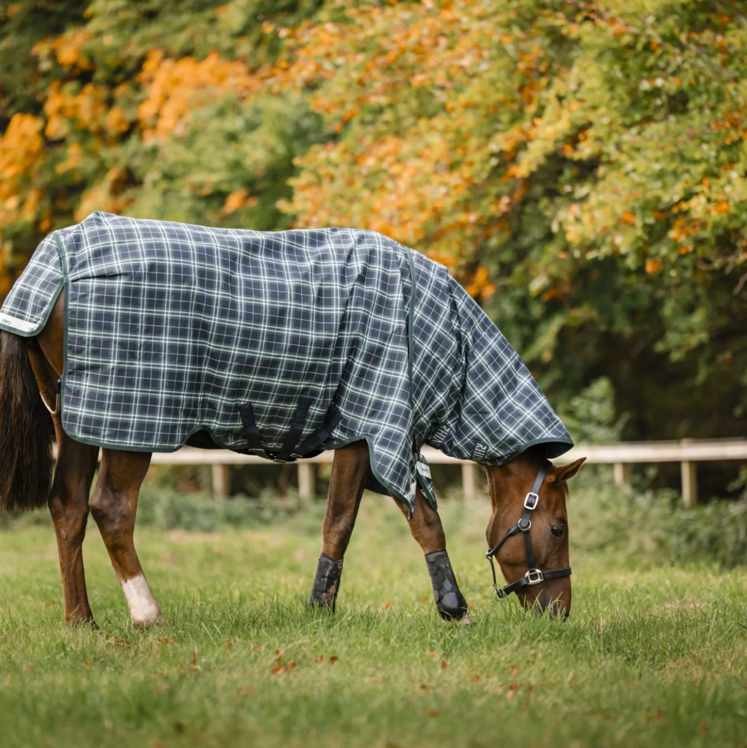 Rhino Turnout Plus 250g Varilayer Hunter Check/Green/Navy