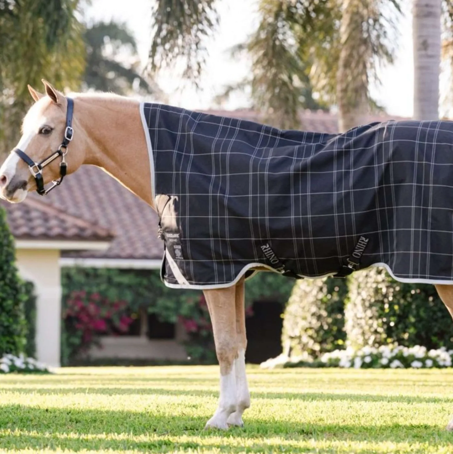 Rhino Wug Turnout Pony 0g Blk/Grey/White Chk/Gray