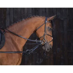 Riding World Bijzetteugels Ring Zwart