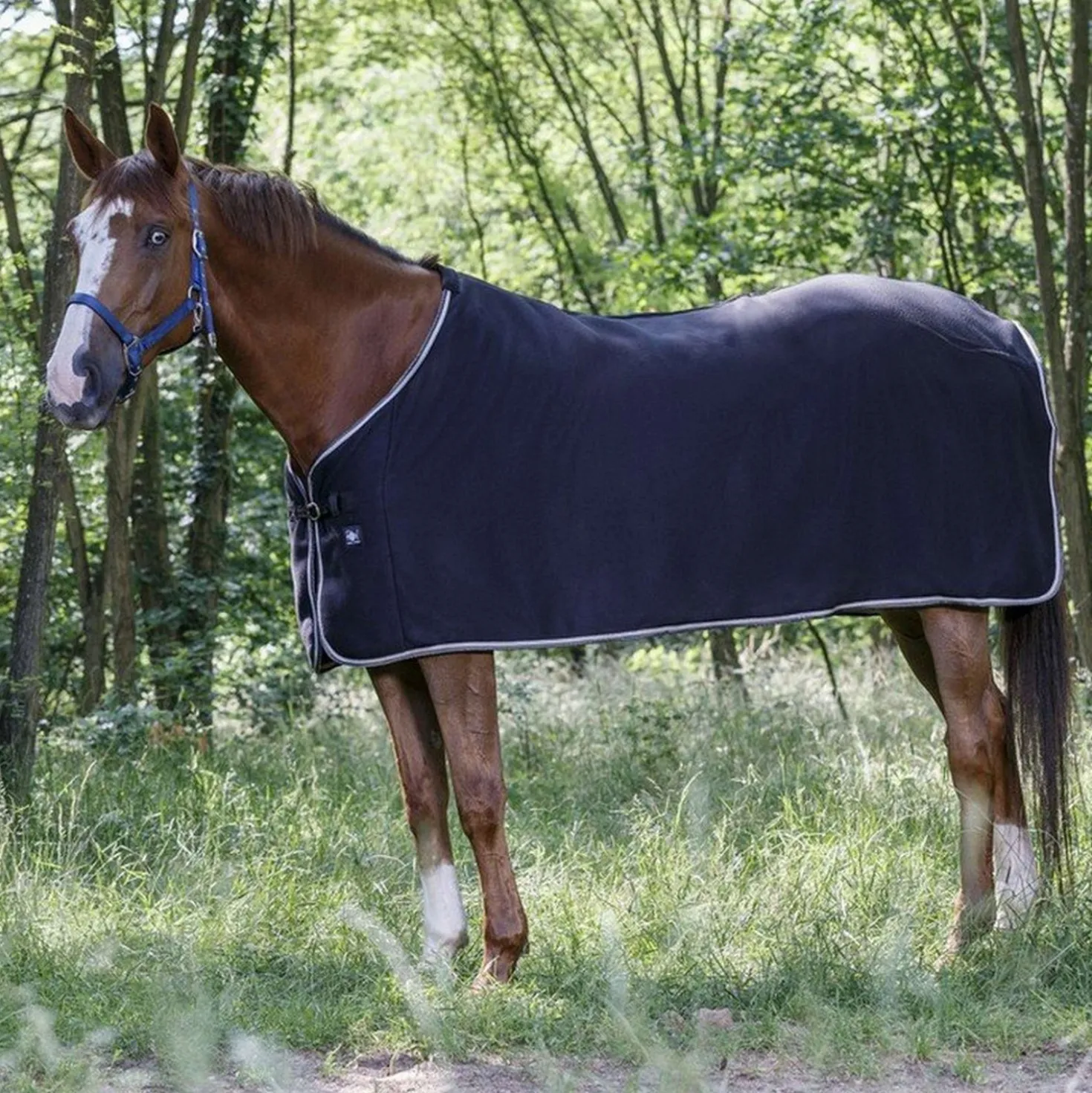 Riding World Fleecedeken Polar Fleece