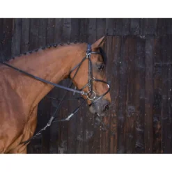 Riding World Gogue met Katrollen Havanna