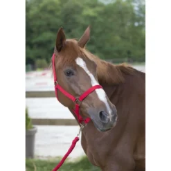 Riding World Halsterset Club met Touw Rood
